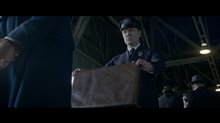 Fantastic Beasts and Where to Find Them Movie Clip - 