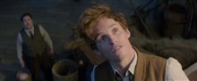 Fantastic Beasts and Where to Find Them - Official Final Trailer Video