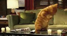 GARFIELD: A TALE OF TWO KITTIES Trailer Video