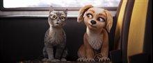 GRACIE & PEDRO: PETS TO THE RESCUE! Trailer Video