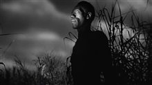 HORROR NOIRE: A HISTORY OF BLACK HORROR Trailer Video