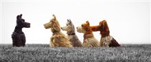 Isle of Dogs Movie Clip - 