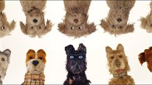 Isle of Dogs Movie Clip Okay - 