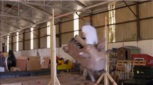 Jackass Presents: Bad Grandpa bonus feature - Test Stunt Video