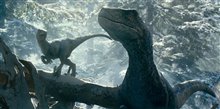 JURASSIC WORLD DOMINION Trailer Video