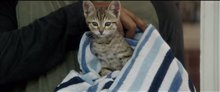 Keanu movie clip - 