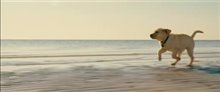 Marley & Me Trailer Video