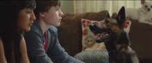 Max - International Trailer Video