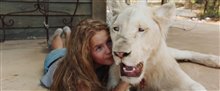 'Mia and the White Lion' Trailer Video