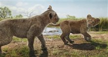 MUFASA: THE LION KING Clip - 
