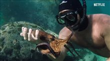 MY OCTOPUS TEACHER Trailer Video