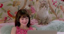 Nine Lives - Official Trailer Video