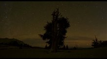 One Life Trailer Video