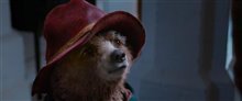 Paddington Trailer Video