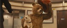 Paddington Trailer Video