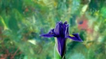Painting the Modern Garden - Monet to Matisse Trailer Video