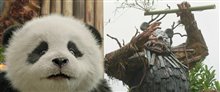 PANDA PLAN 2: THE MAGICAL TRIBE Trailer Video