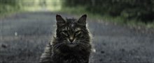 'Pet Sematary' Trailer Video