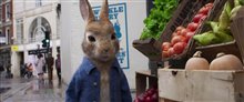 'Peter Rabbit 2: The Runaway' Teaser Trailer Video