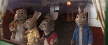 PETER RABBIT 2: THE RUNAWAY Trailer Video