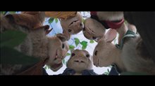 Peter Rabbit Movie Clip - 