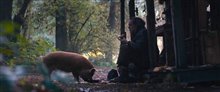 PIG Trailer Video