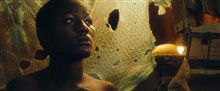 Queen of Katwe - Official Trailer Video