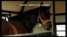 Saving America's Horses: A Nation Betrayed Trailer Video