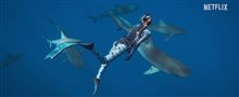 SHARK WHISPERER Trailer Video