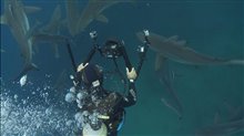 'Sharkwater Extinction' Cast Interviews Video