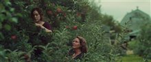 SPLINTERS Trailer Video