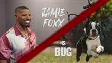 STRAYS - Jamie Foxx is Bug Video