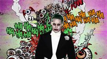 Suicide Squad Profile - 