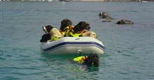 'Superpower Dogs' Trailer Video
