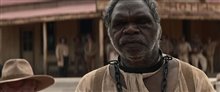 Sweet Country - Trailer Video