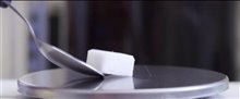 That Sugar Film Trailer Video