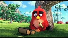 The Angry Birds Movie - Teaser Trailer Video