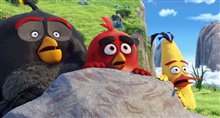 The Angry Birds Movie Trailer 2 Video