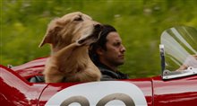 'The Art of Racing in the Rain' Trailer Video