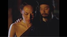 The Assassin Trailer Video