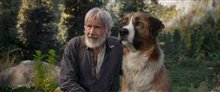 'The Call of the Wild' Trailer Video