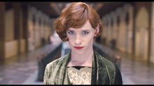 The Danish Girl Trailer Video
