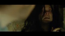 The Evil Dead (1981) Trailer Video