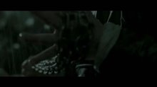 The Grandmaster Trailer Video