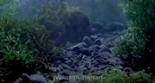 The Lord of the Rings: The Fellowship of the Ring Trailer Video