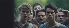 The Maze Runner Trailer Video