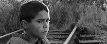 THE PAINTED BIRD Trailer Video