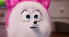 'The Secret Life of Pets 2' - The Gidget Trailer Video