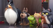 The Secret Life of Pets Trailer 2 Video