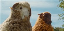 THE SHEEP DETECTIVES Prime Video Trailer Video